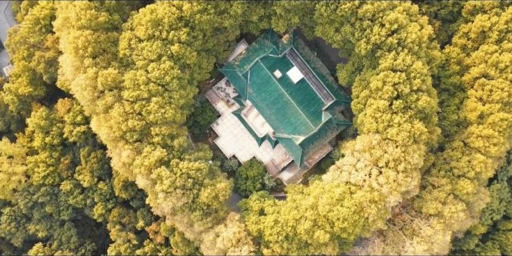 旅拍短片 ② 剧照 4
